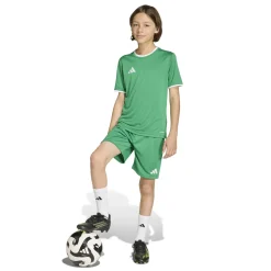 adidas Entrada 26 Voetbaltenue Kids Groen Wit