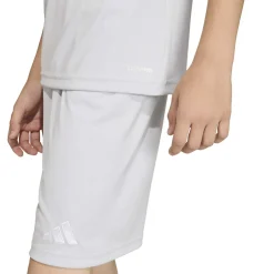 adidas Entrada 26 Voetbaltenue Kids Grijs Wit