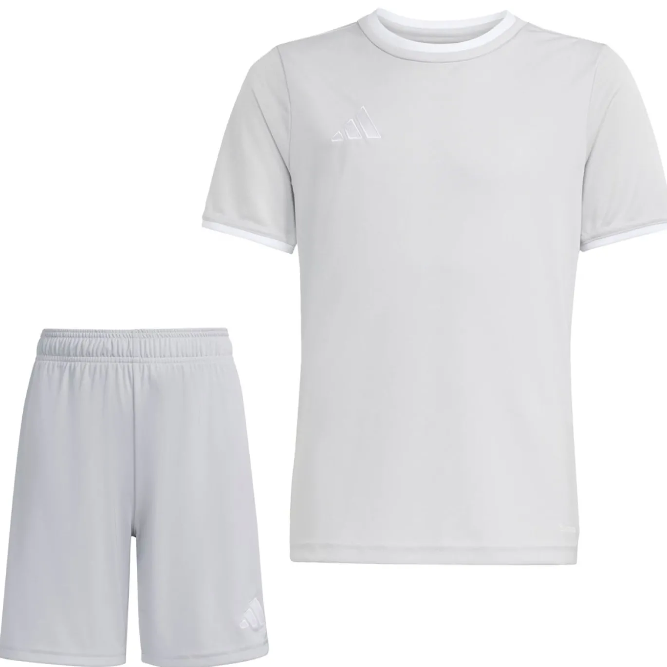 adidas Entrada 26 Voetbaltenue Kids Grijs Wit