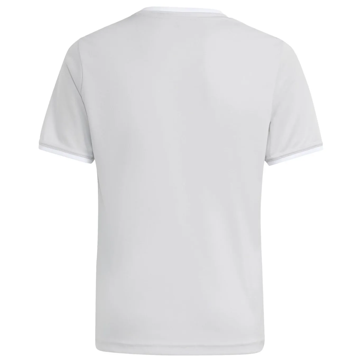adidas Entrada 26 Voetbaltenue Kids Grijs Wit