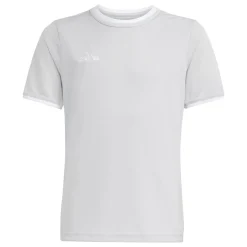 adidas Entrada 26 Voetbaltenue Kids Grijs Wit
