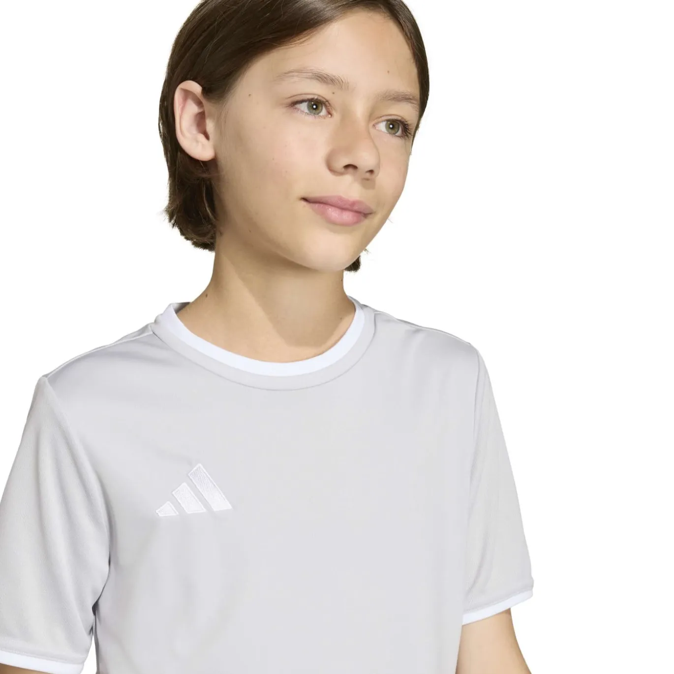 adidas Entrada 26 Voetbaltenue Kids Grijs Wit