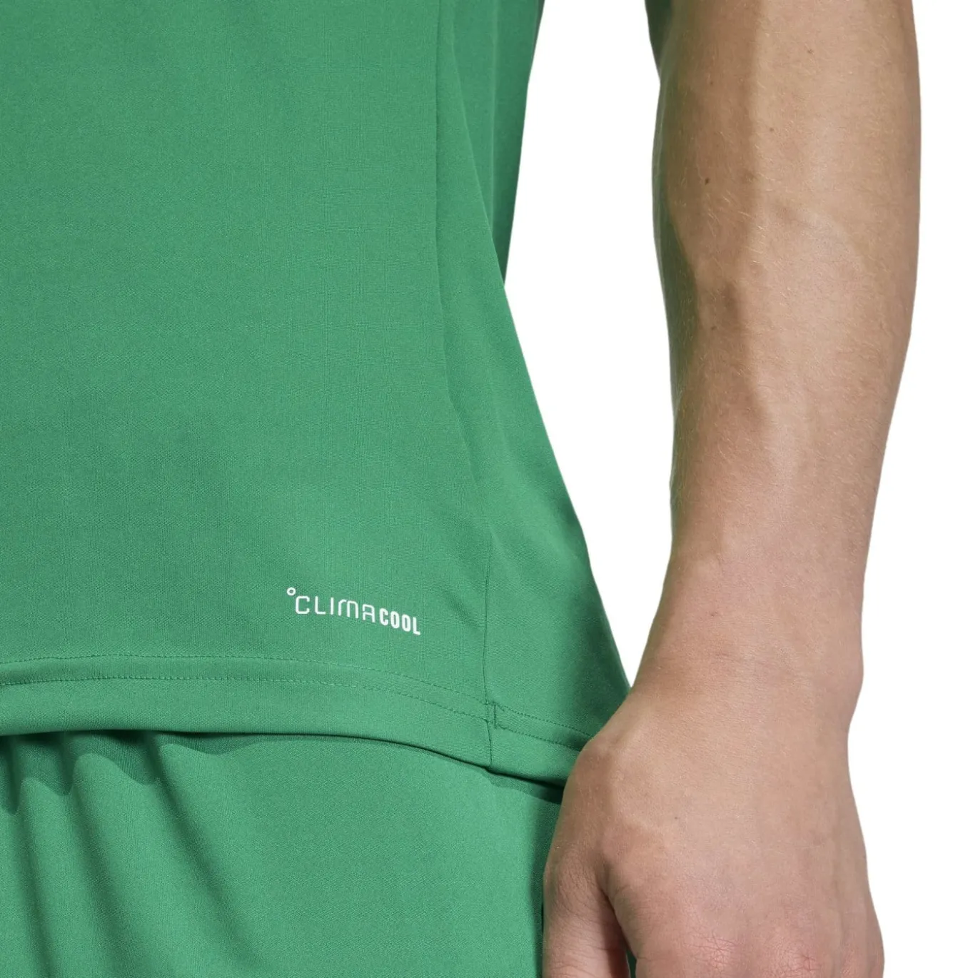 adidas Entrada 26 Voetbaltenue Groen Wit