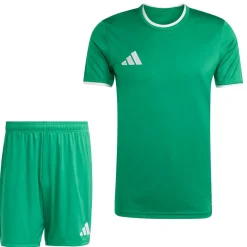 adidas Entrada 26 Voetbaltenue Groen Wit