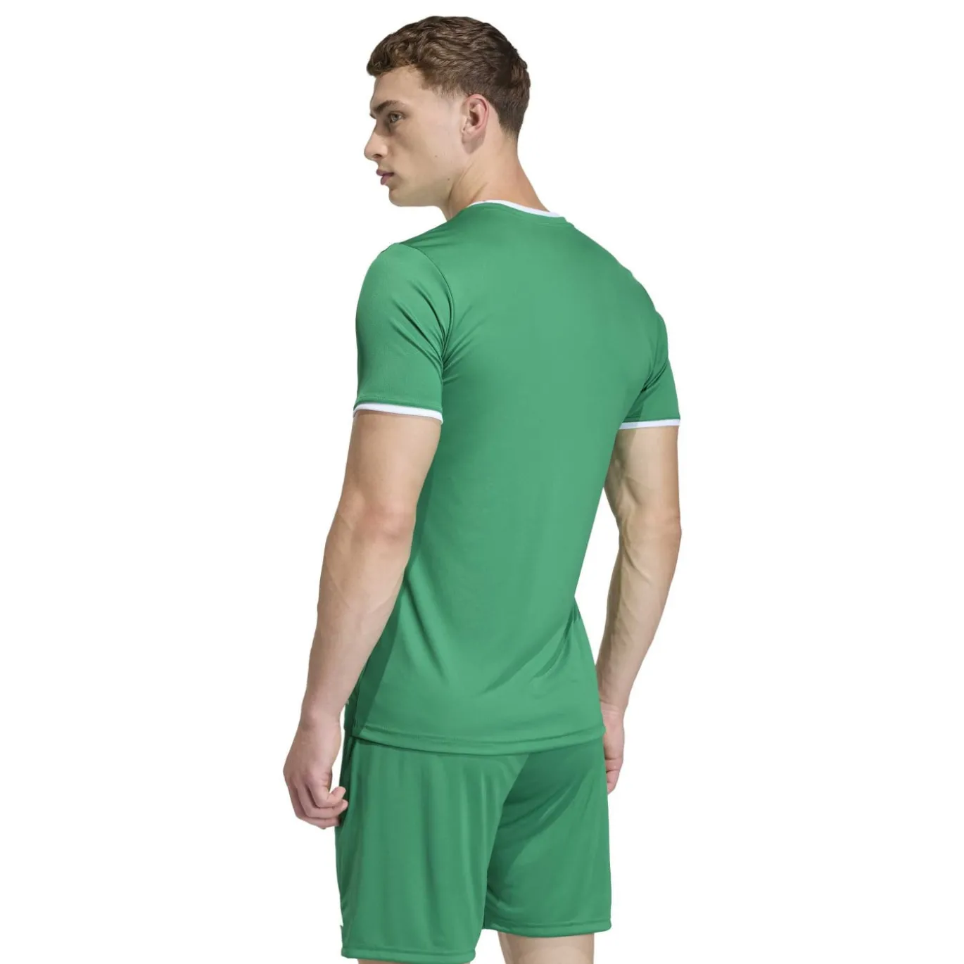 adidas Entrada 26 Voetbaltenue Groen Wit