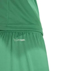 adidas Entrada 26 Voetbaltenue Groen Wit