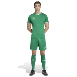 adidas Entrada 26 Voetbaltenue Groen Wit