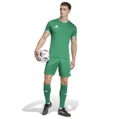 adidas Entrada 26 Voetbaltenue Groen Wit