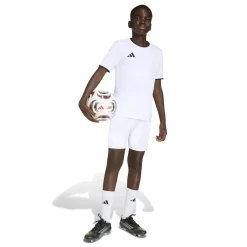 adidas Entrada 26 Voetbaltenue Kids Wit Zwart
