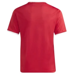 adidas Entrada 26 Voetbaltenue Kids Rood Wit