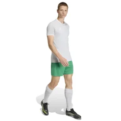 adidas Entrada 26 Voetbaltenue Grijs Wit