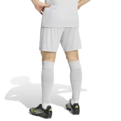 adidas Entrada 26 Voetbaltenue Grijs Wit