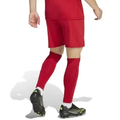 adidas Entrada 26 Voetbaltenue Rood Wit