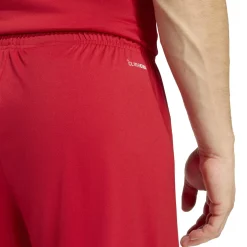 adidas Entrada 26 Voetbaltenue Rood Wit