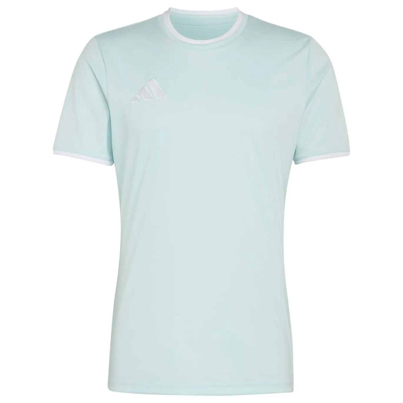 adidas Entrada 26 Voetbaltenue Mintgroen Zwart