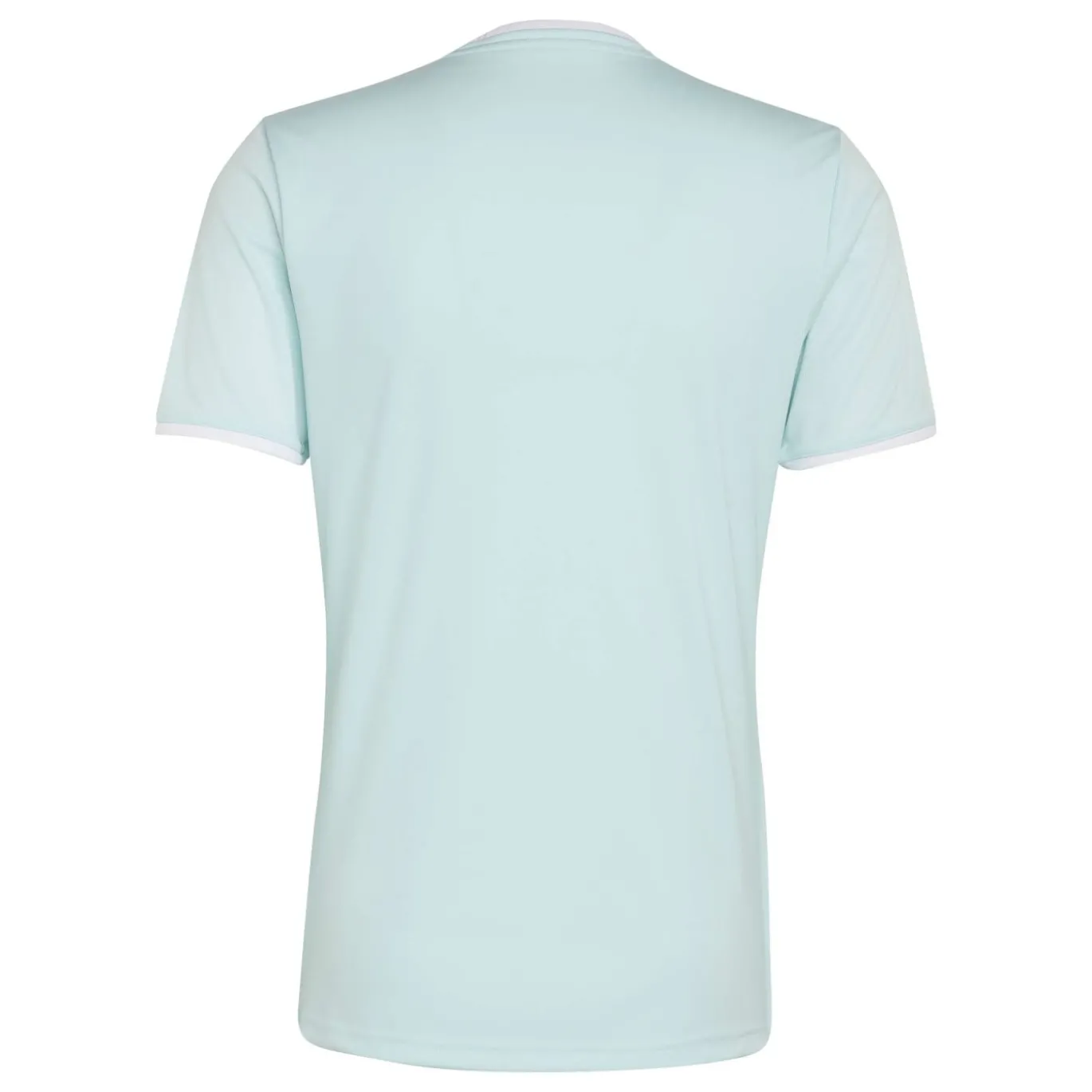 adidas Entrada 26 Voetbaltenue Mintgroen Zwart