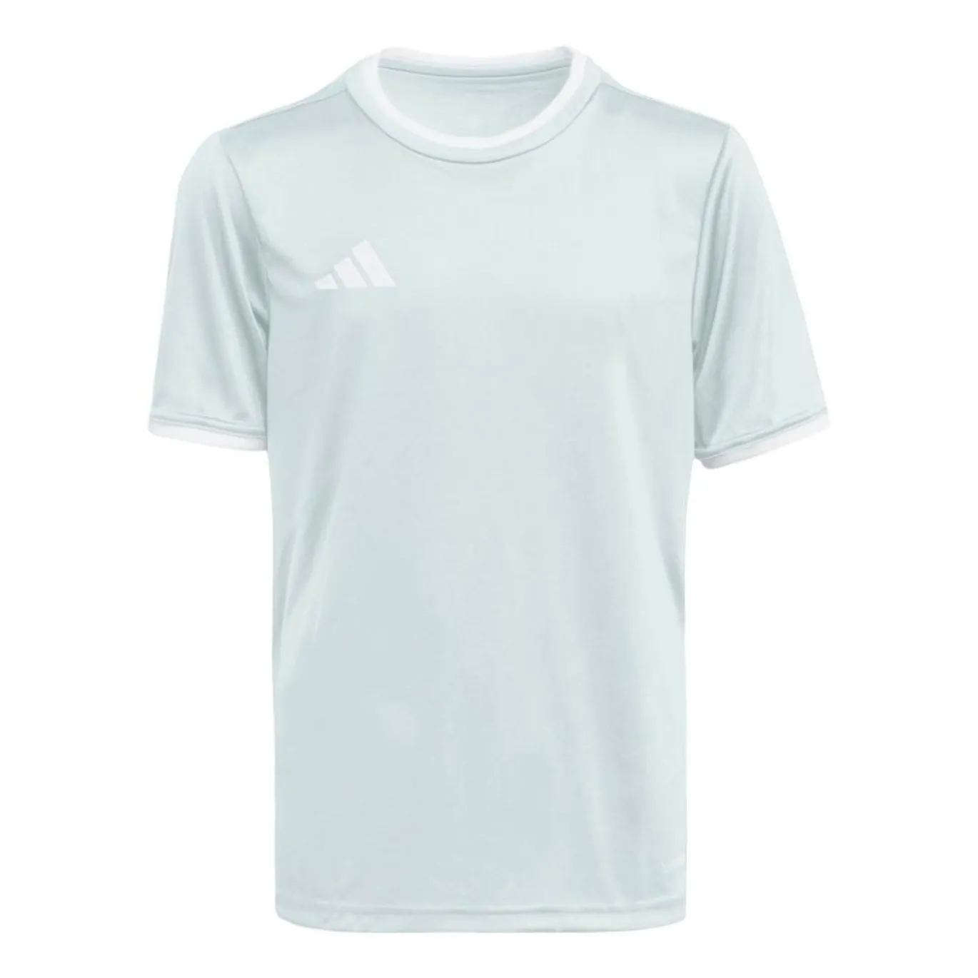 adidas Entrada 26 Voetbaltenue Kids Mintgroen Zwart