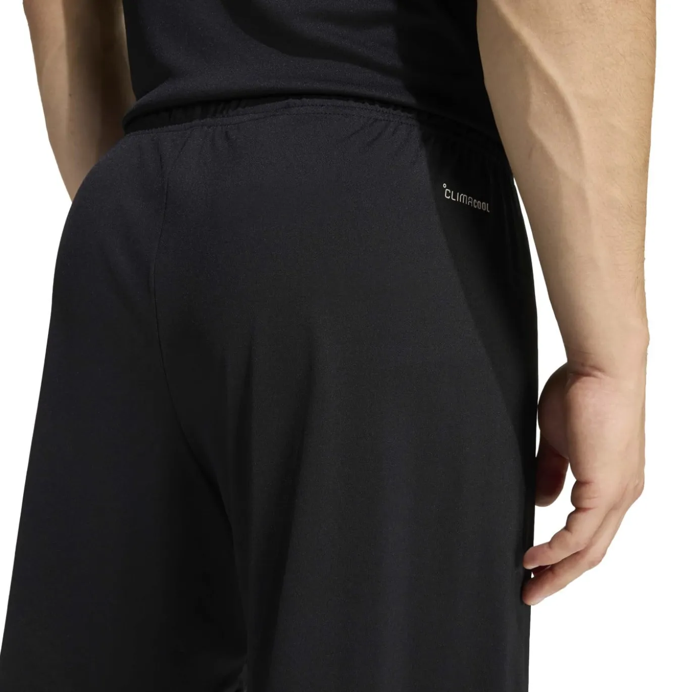 adidas Entrada 26 Voetbaltenue Zwart Wit