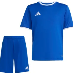 adidas Entrada 26 Voetbaltenue Kids Blauw Wit