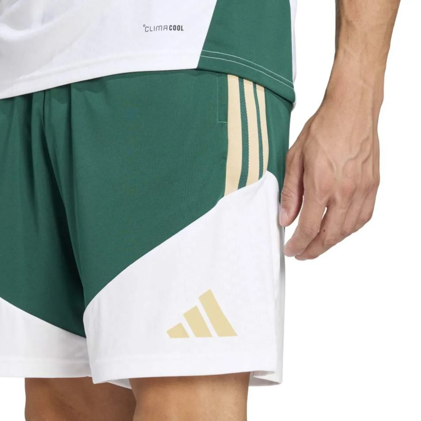 adidas Italië Trainingsbroekje 2026-2028 Groen Wit Goud