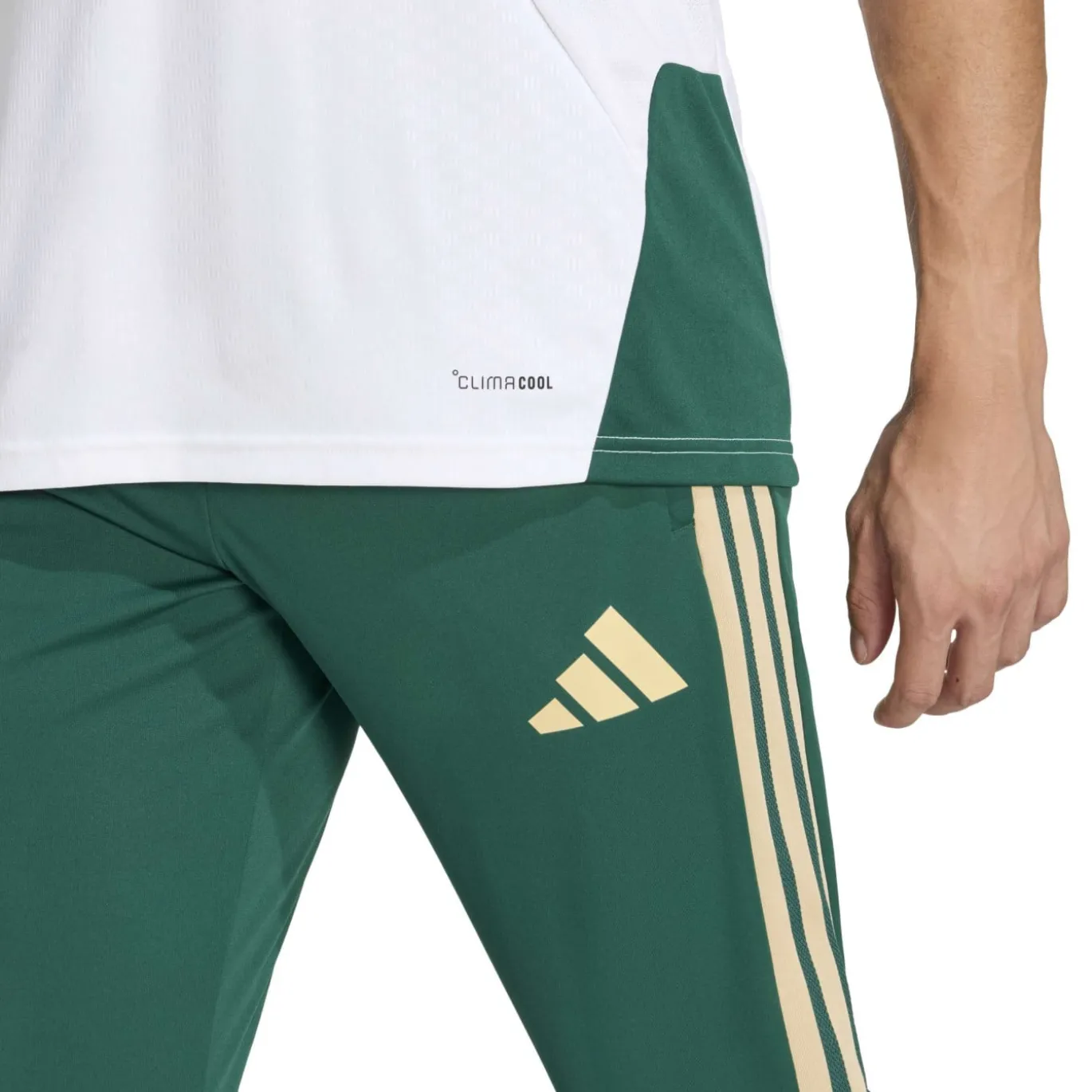 adidas Italië Trainingspak 1/4-Zip 2026-2028 Wit Groen Goud
