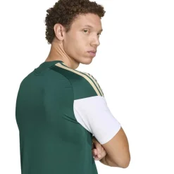 adidas Italië Trainingsshirt 2026-2028 Groen Wit Goud
