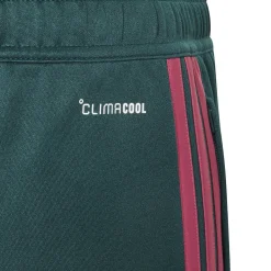 adidas Jude Bellingham Trainingsbroek Kids Donkergroen Roze Wit
