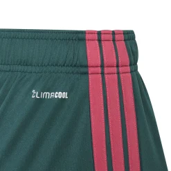 adidas Jude Bellingham Trainingsset Kids Wit Donkergroen Zwart Roze