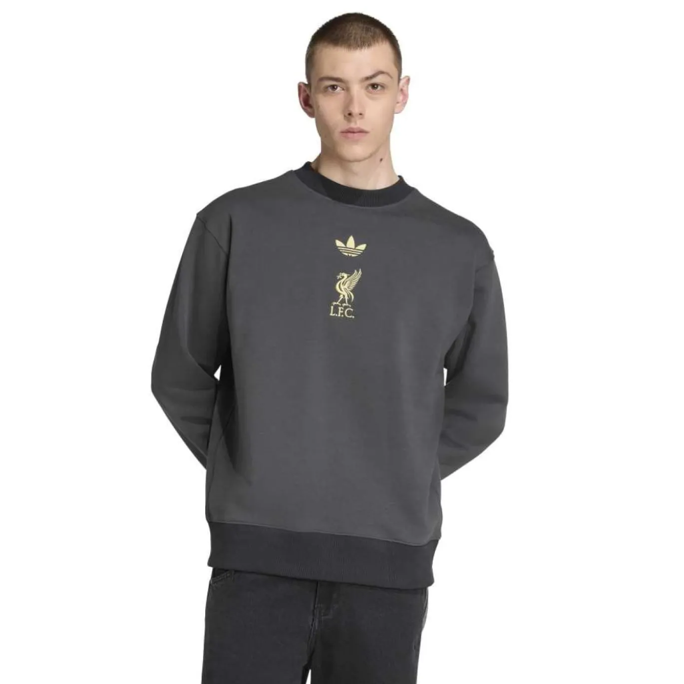 adidas Liverpool Lifestyler Crew Trainingspak Zwart