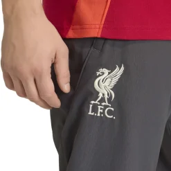 adidas Liverpool Presentatie Trainingspak Full-Zip 2025-2026 Rood Grijs Zilver