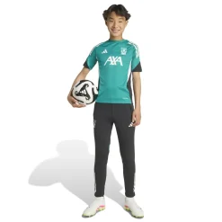 adidas Liverpool Trainingsbroek Europees 2025-2026 Kids Zwart Wit Groen