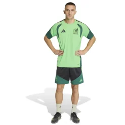 adidas Mexico Trainingsshirt 2026-2028 Lichtgroen Zwart Groen