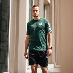 adidas PEC Zwolle T-Shirt 2023-2024 Groen Wit