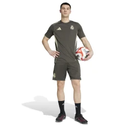adidas Real Madrid Trainingsshirt 2025-2026 Grijs Lichtgroen