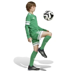 adidas Squadra 25 Voetbalshirt Lange Mouwen Kids Groen Wit