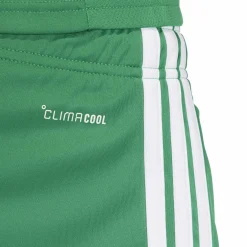 adidas Tiro 26 League Voetbaltenue Groen Wit