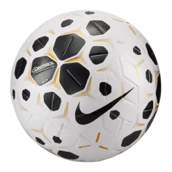 Nike Control Voetbal Maat 5 2025-2026 Wit Zwart Goud