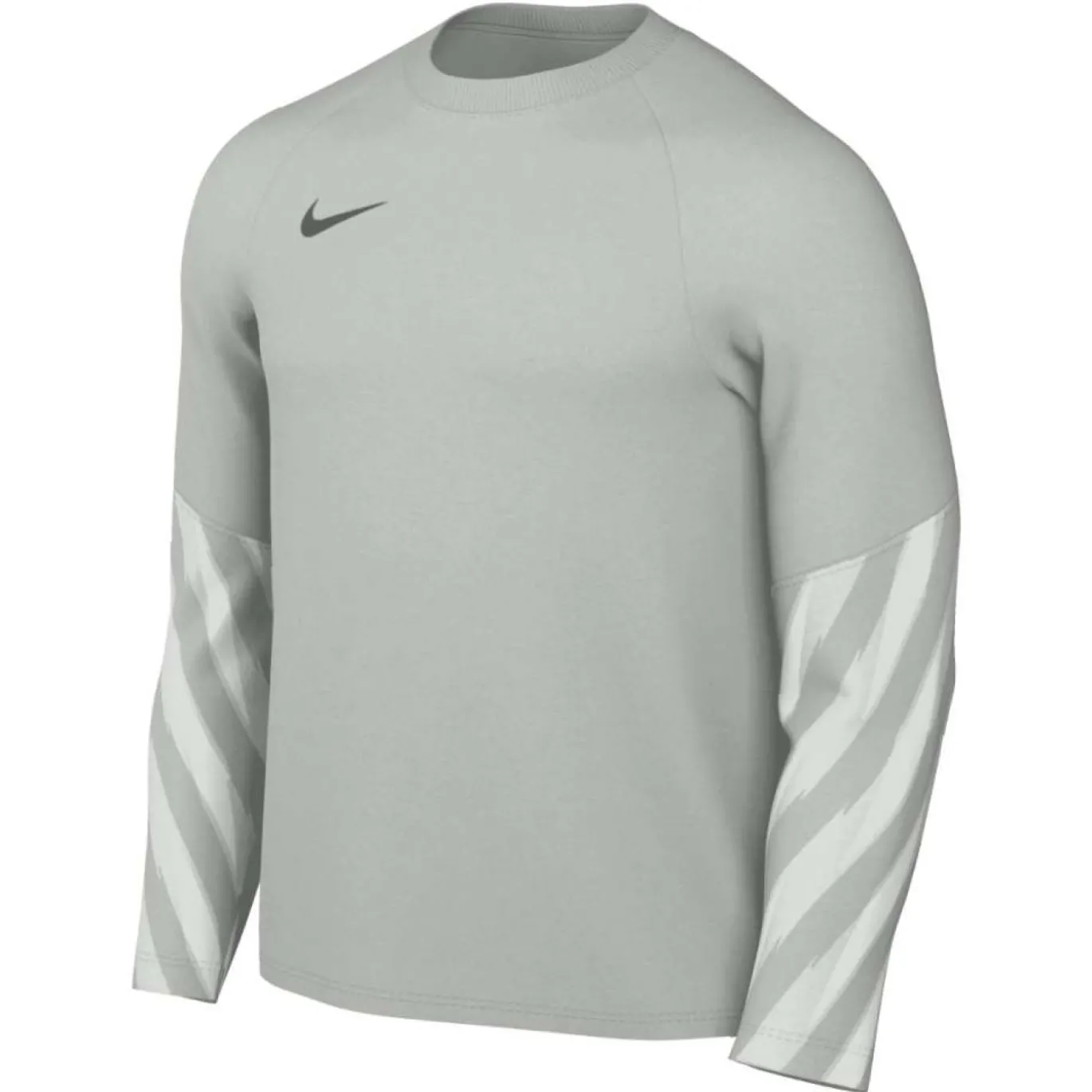 Nike Dri-FIT Park Goalkeeper V Keepersshirt Lange Mouwen Lichtgrijs Zwart