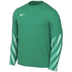 Nike Dri-FIT Park Goalkeeper V Keepersshirt Lange Mouwen Dames Lichtgroen Wit