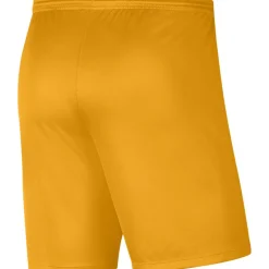 Nike Dri-FIT Park III Voetbalbroekje Kids Geel Zwart