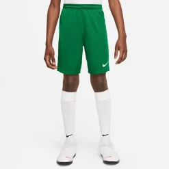 Nike Dri-FIT Park III Voetbalbroekje Kids Groen