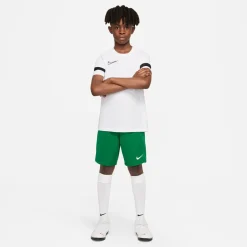 Nike Dri-FIT Park III Voetbalbroekje Kids Groen