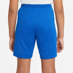Nike Dri-FIT Park III Voetbalbroekje Kids Blauw