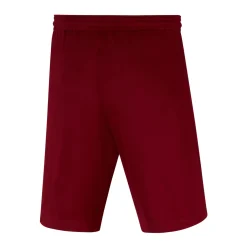 Nike Dri-FIT Park III Voetbalbroekje Kids Bordeauxrood