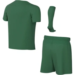 Nike Dri-FIT Park VIII Tenue Kleuters Donkergroen Wit