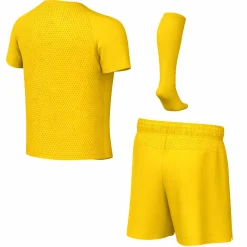 Nike Dri-FIT Park VIII Tenue Kleuters Geel Zwart