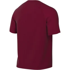 Nike Dri-FIT Park VIII Voetbalshirt Donkerrood Wit