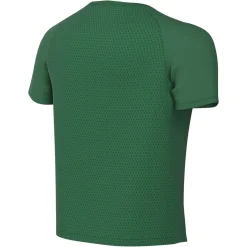 Nike Dri-FIT Park VIII Voetbalshirt Kids Donkergroen Wit