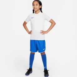 Nike Dri-FIT Park VII Voetbalshirt Kids Wit Blauw