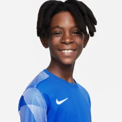 Nike Dry Park IV Keepersshirt Kids Lange Mouwen Blauw